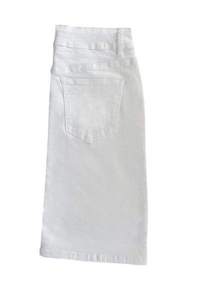 The Forever Skirt  - Posh